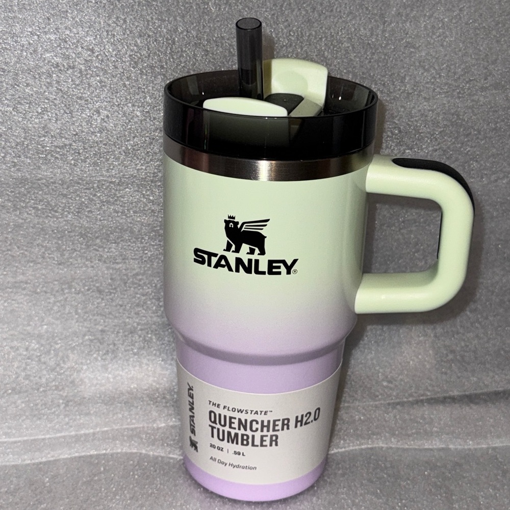Stanley NWT Halloween 20oz H2.0 Flowstate Quencher Tumbler in Hypnotic Green